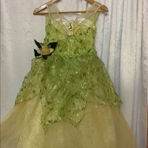 Princess Tiana Dress from Disney